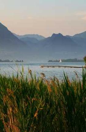 Molestiae facilis doloribus reiciendis